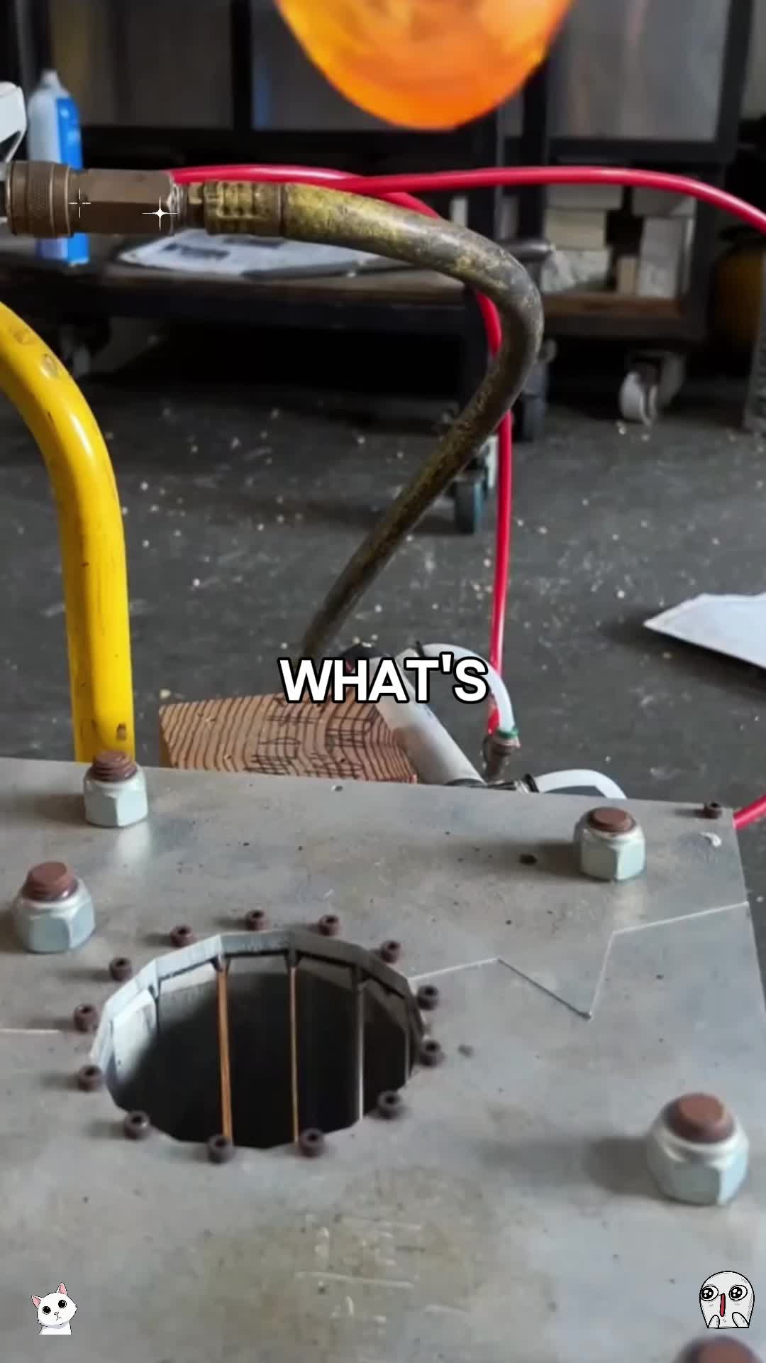 @michaelsutton5261