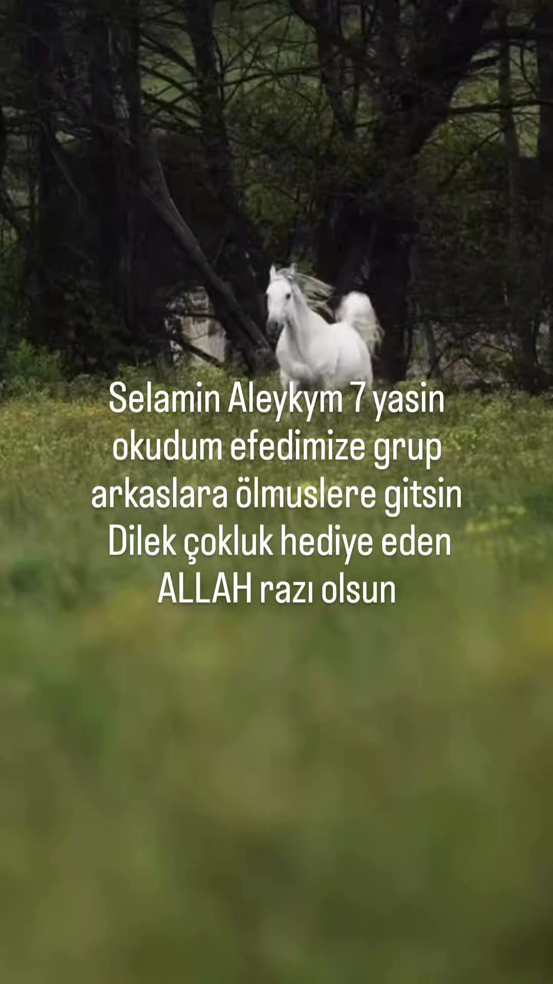@h k