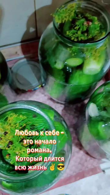 @♏ Д০ԿѢ Ⴔɣρu⊂τᏘ ♏ 58