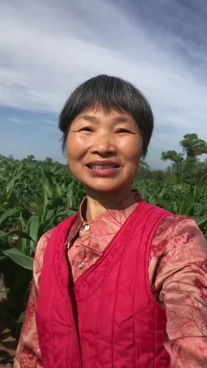 @grandma yan