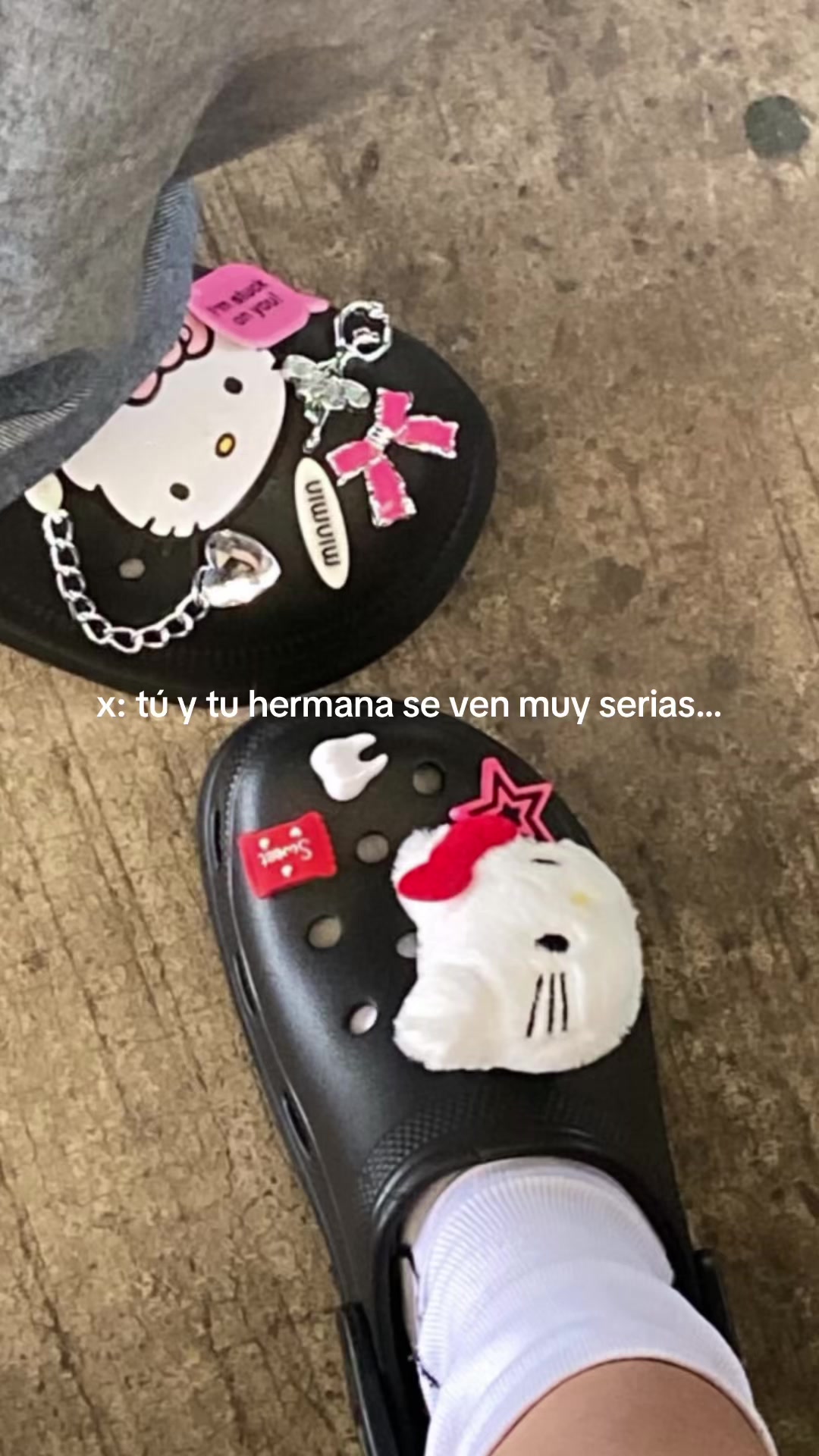 @ari_gato222