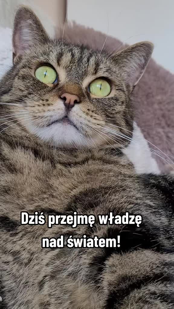 @😻Ekipa Świrka 😻