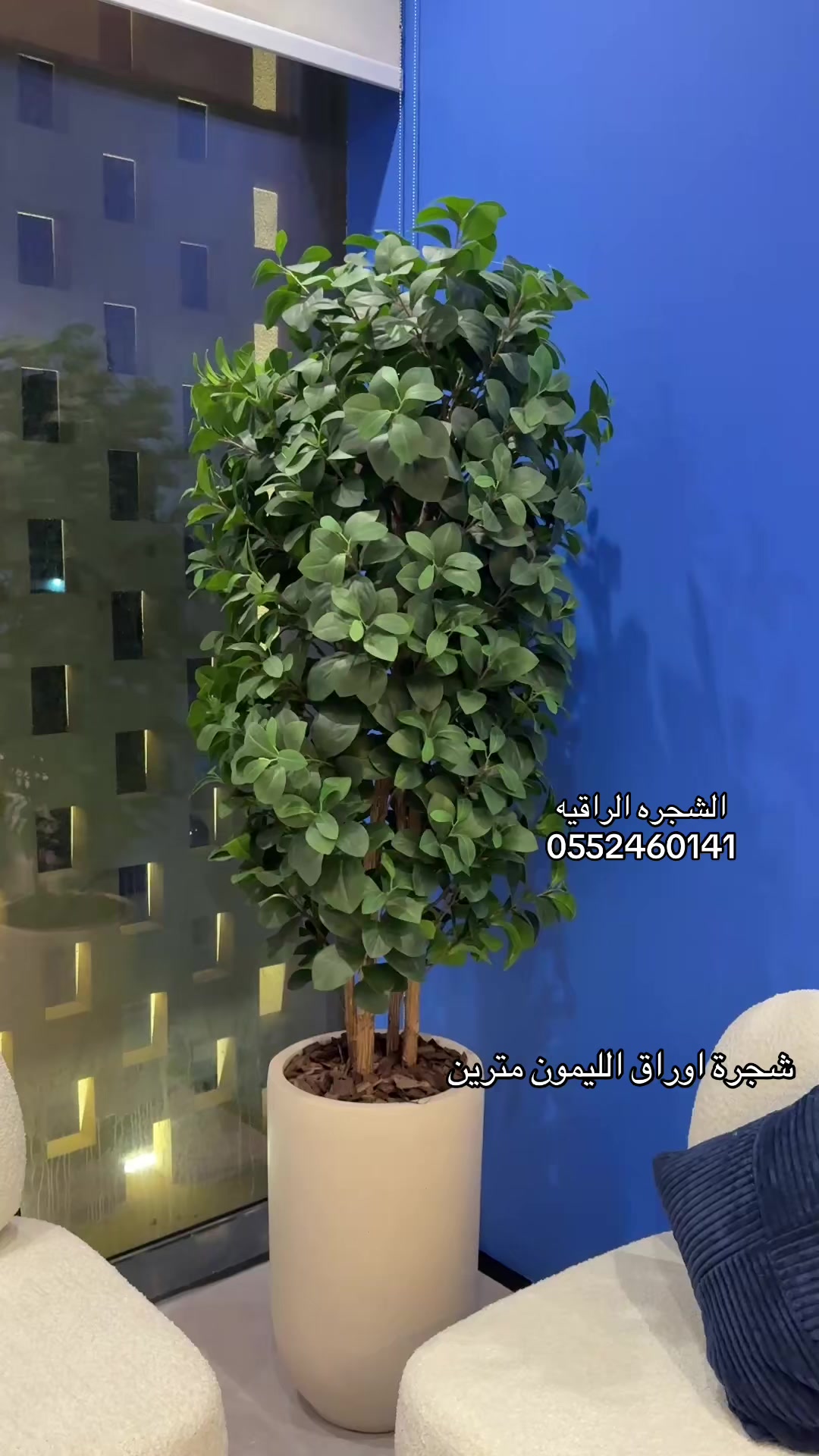 @الشجره الراقيه(زهور المملكه)🌴