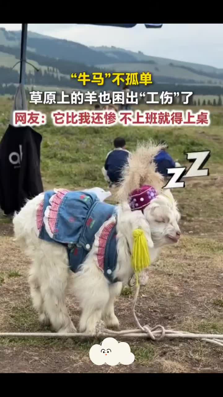 @18号