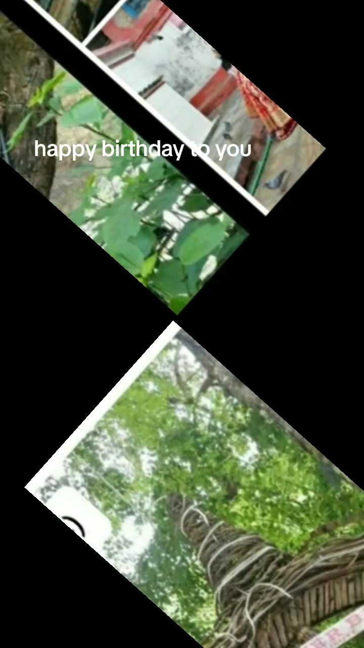 @muskan patel