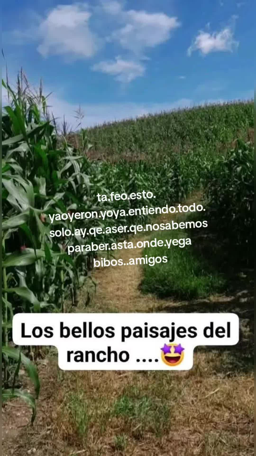 @soy...eleon....de...laselba