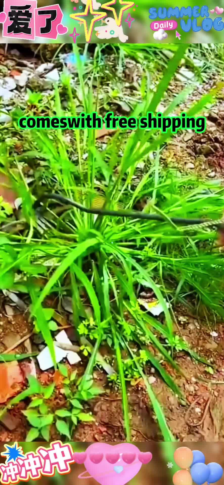 @bbb876hkp