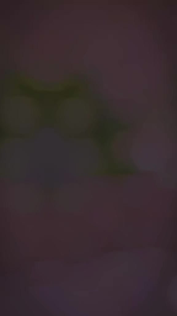 @Nika 786