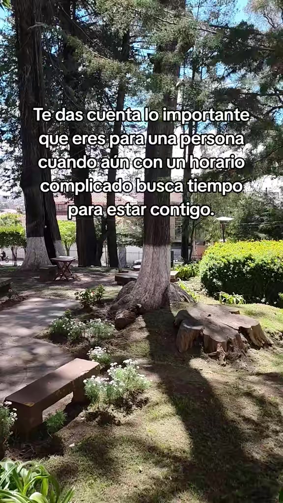 @Gabriela Torrico Tor