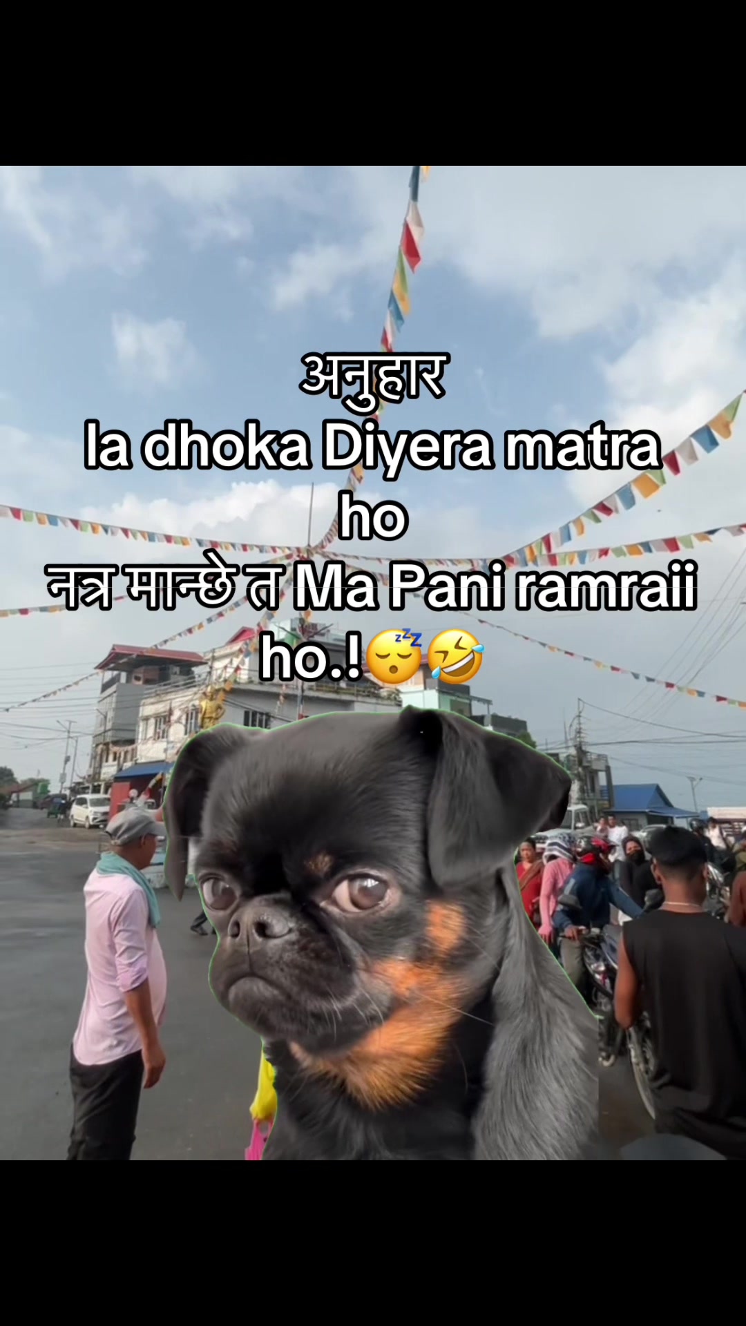@अजय राज धामी  🇵🇹