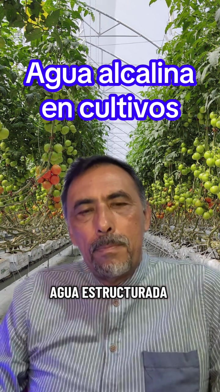 @BienestarSano