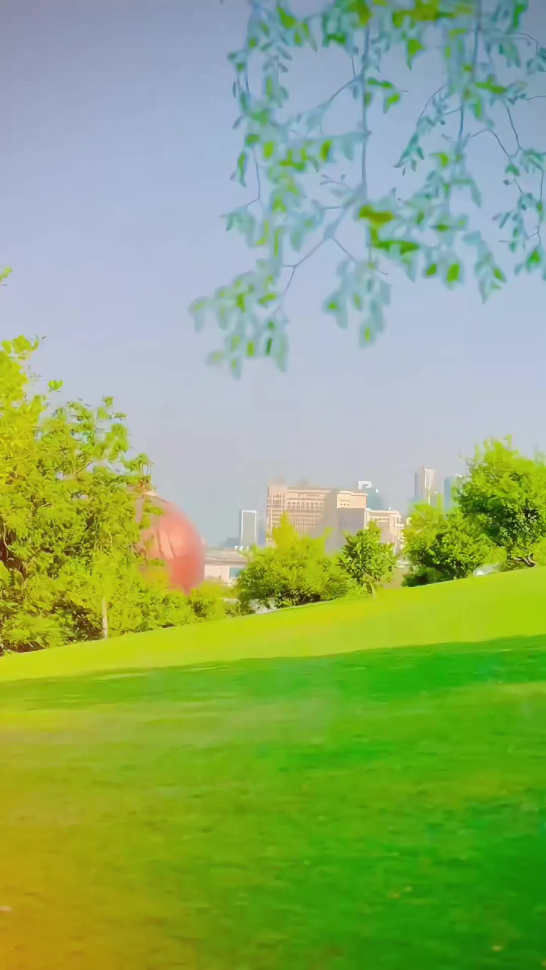 @🍁𝐒𝐡𝐚𝐧𝐢_نیازی🌸
