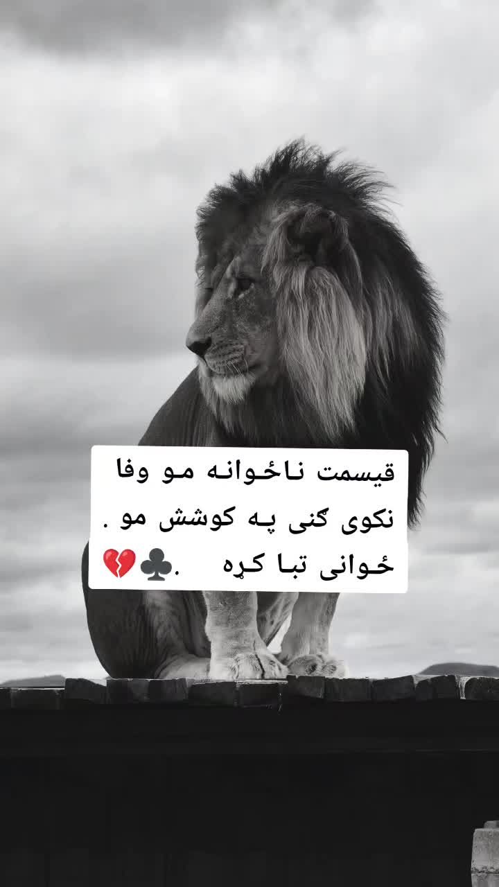@ཀོ لـیــونـͫــͣــͥوو ཀོ