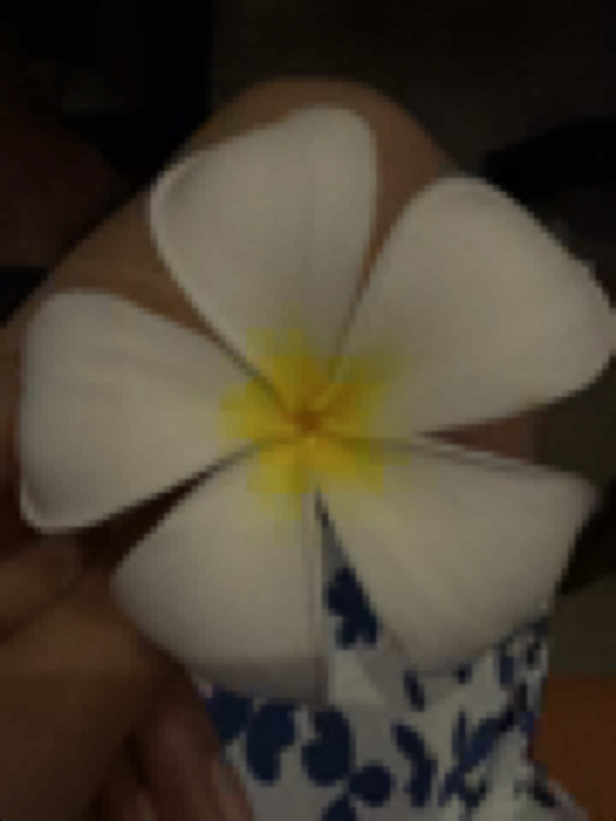 @Anshika