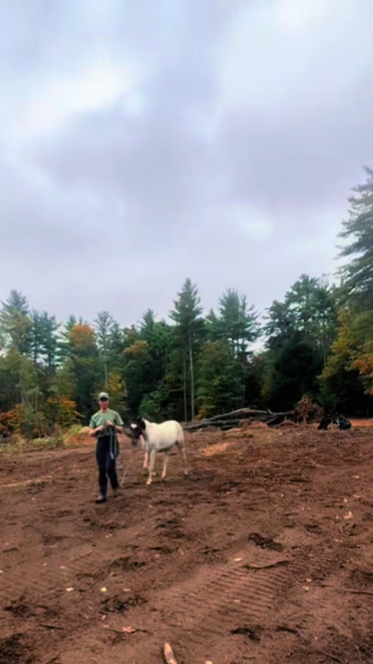 @Unshackled Hearts Ranch