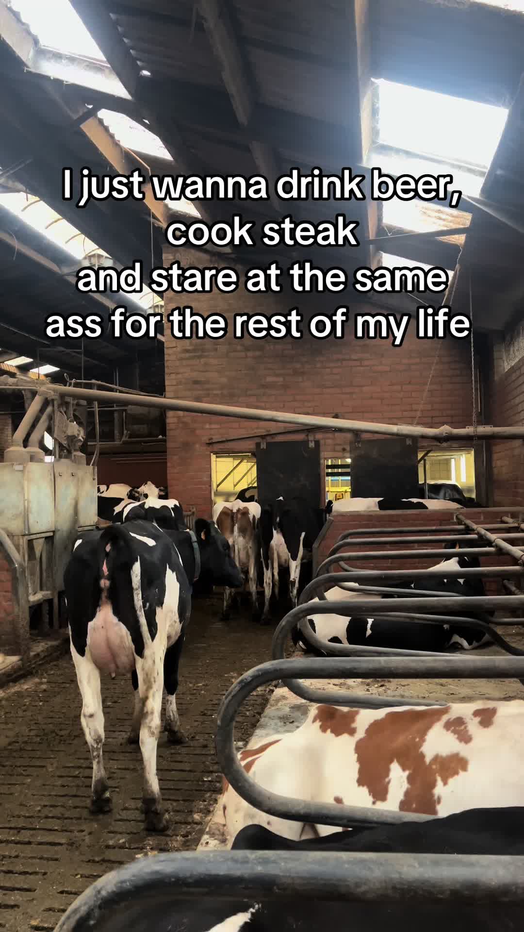 @ZoonVanEenTuinaanlegger