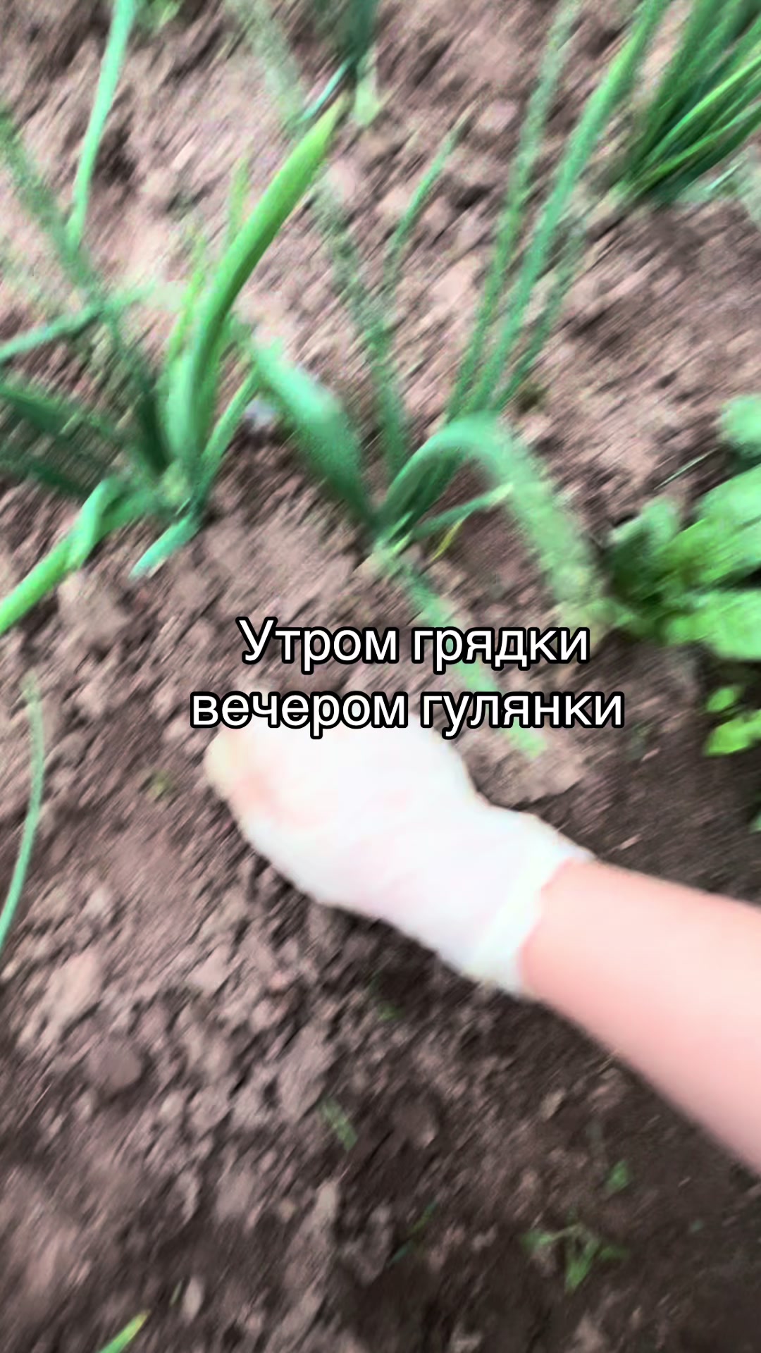 @полиша🛐