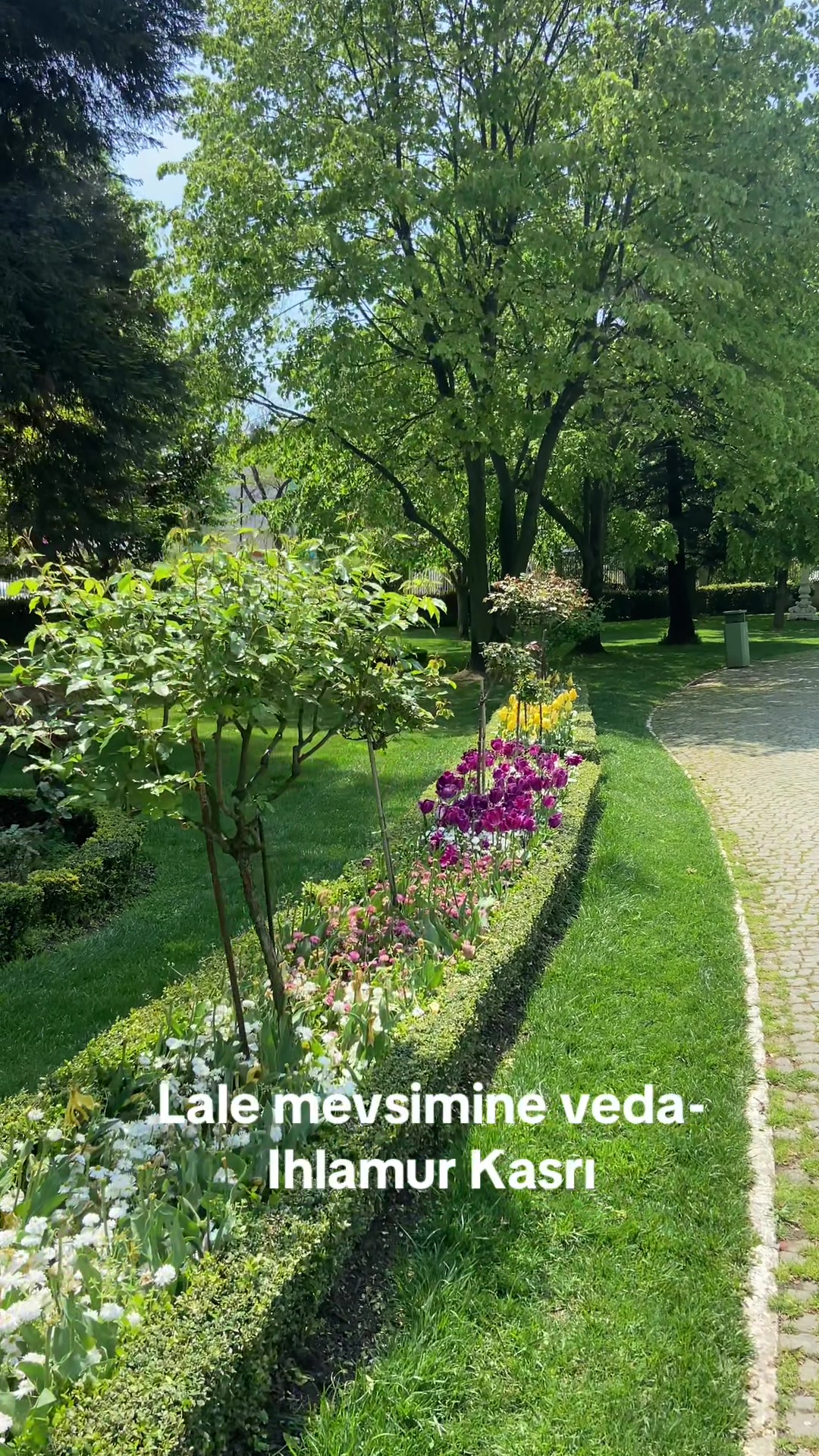 @Tatilcibaşı