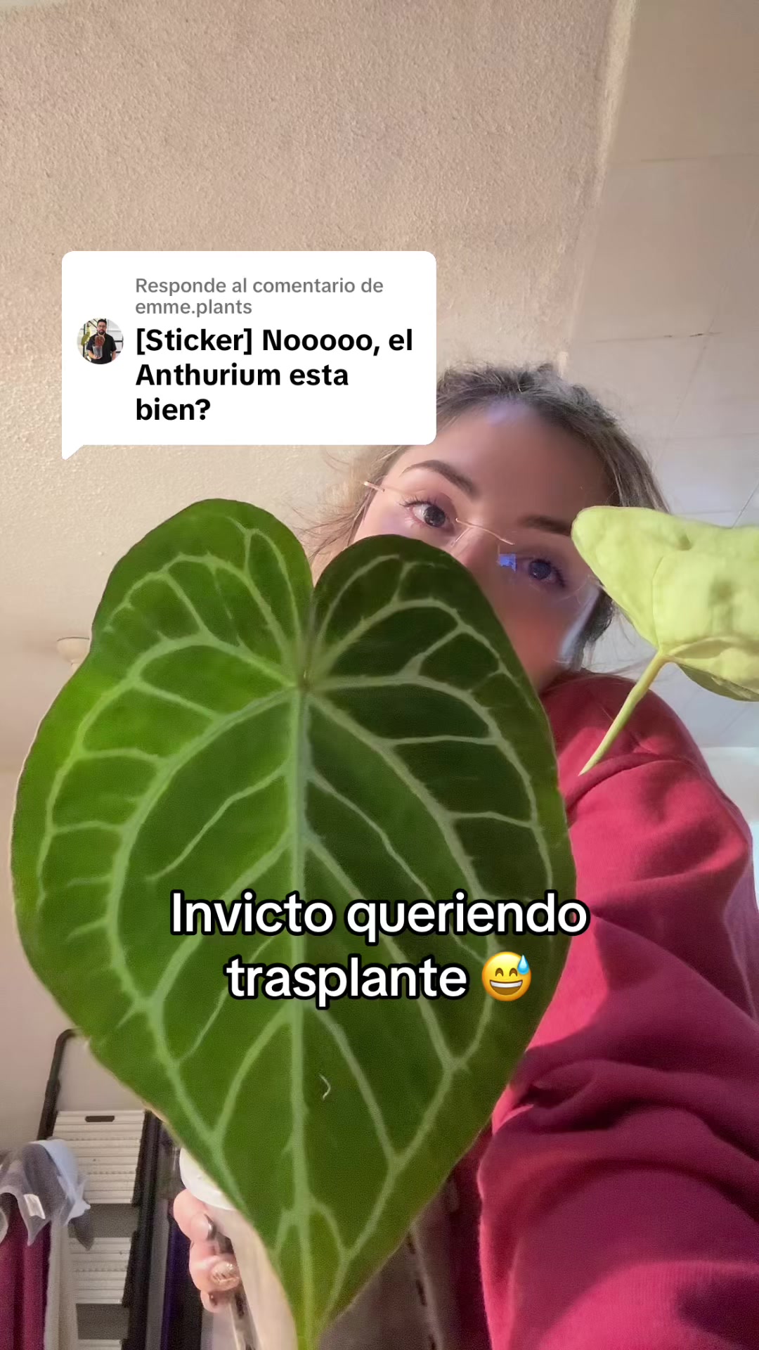 @Naty Cadavid