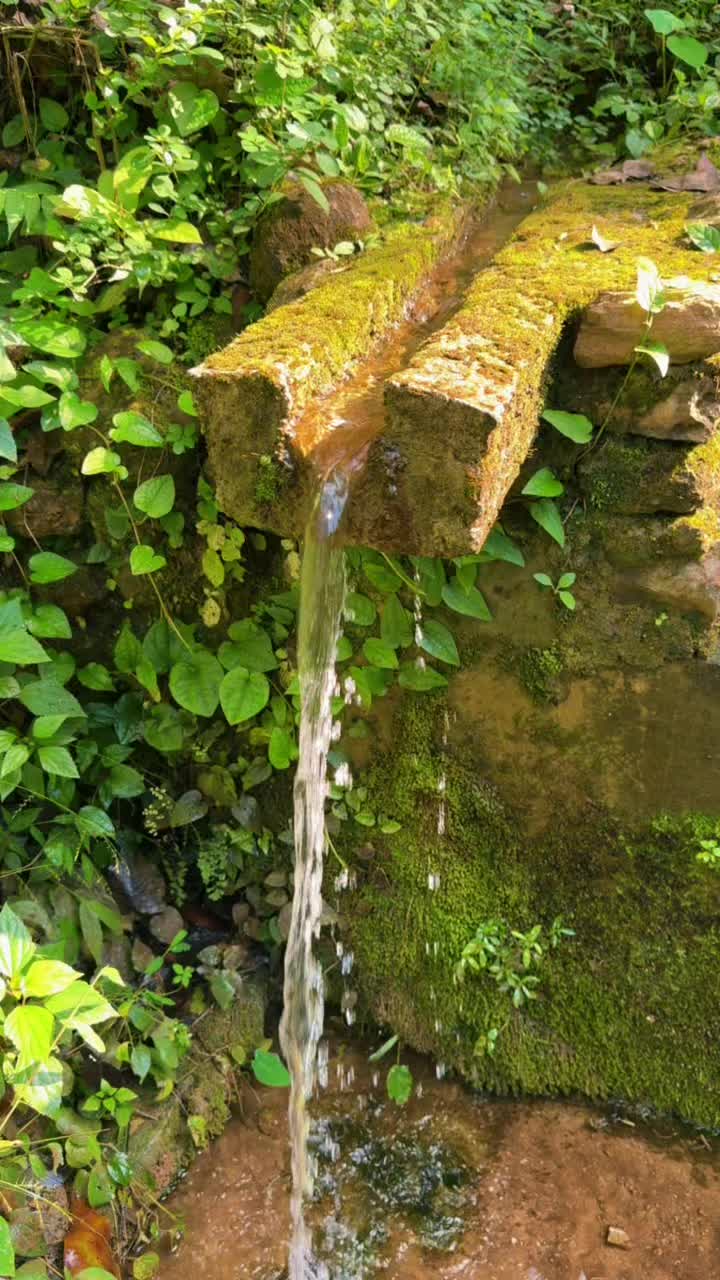 @Manish Adhikari