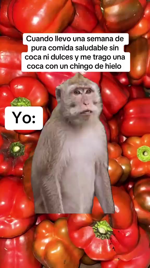 @Fatima Rivas