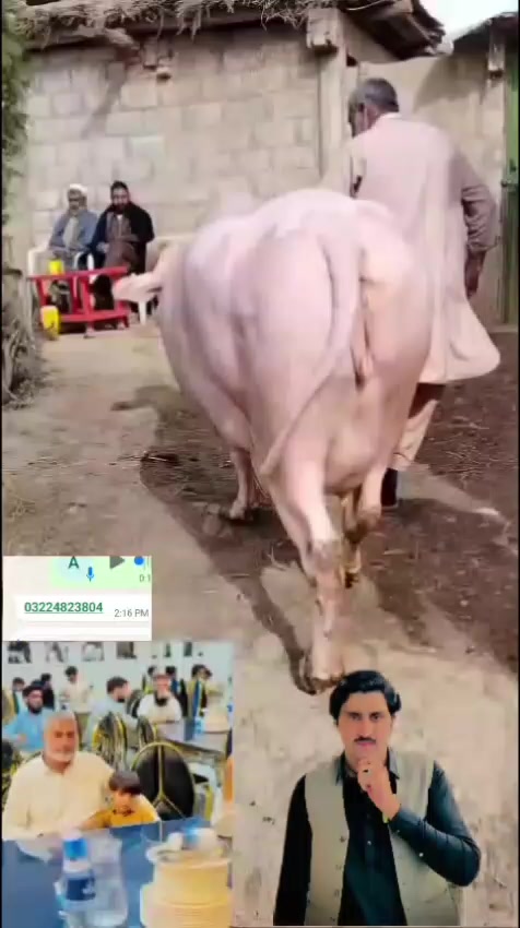 @ASAD Sarkar123