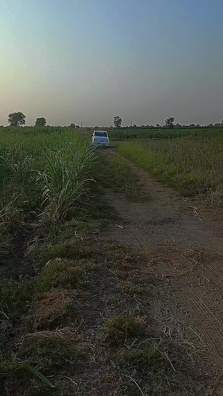 @Chandio روچ✌