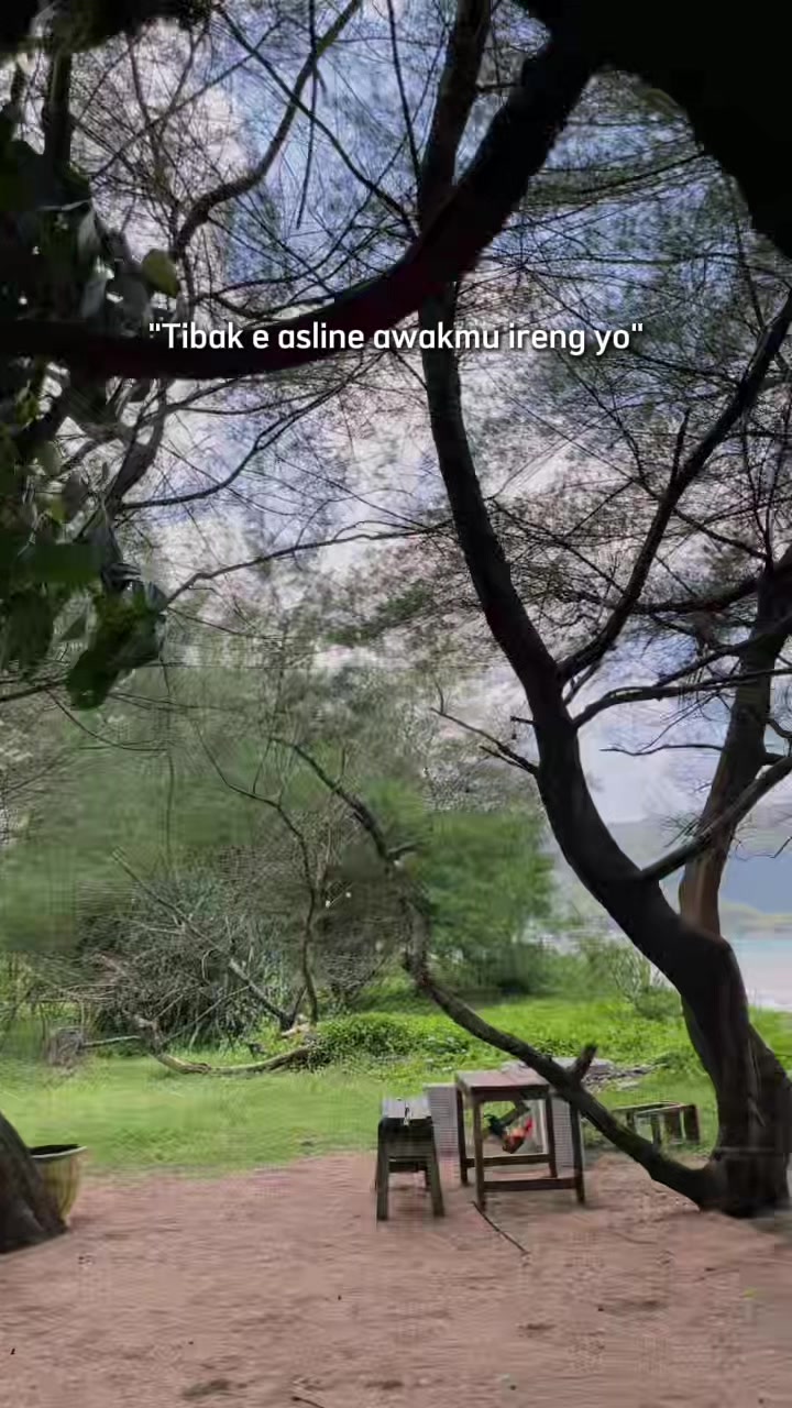 @dita_RY