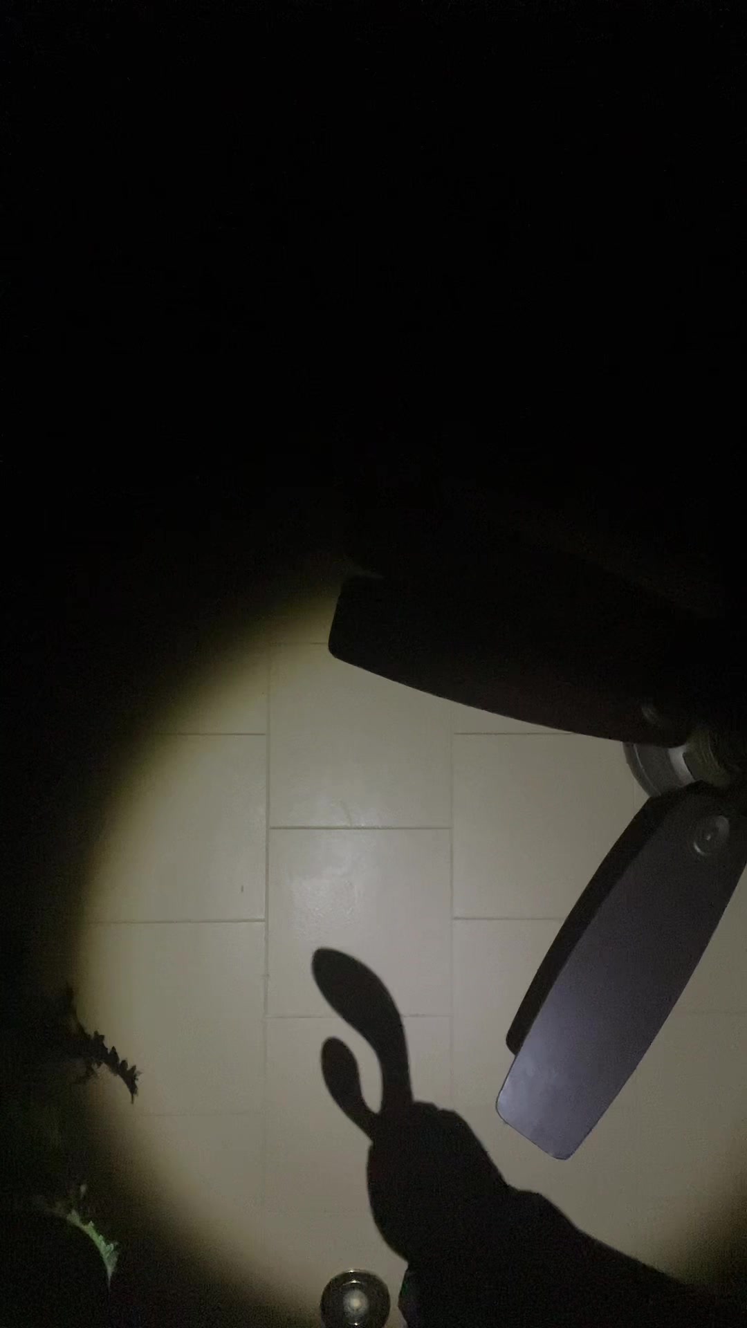 @Joni Flex