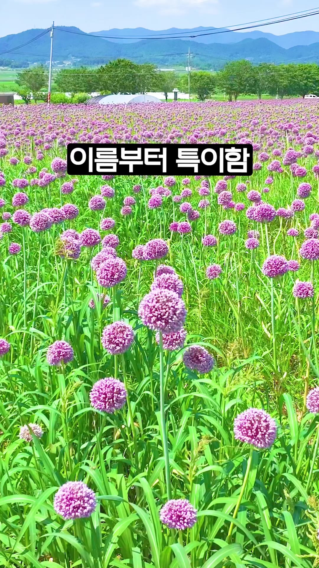 @Ddoo_pd