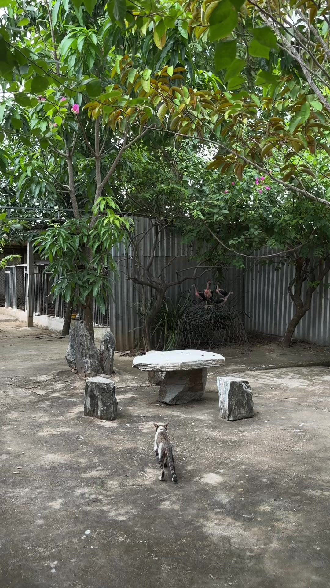 @Quốc khánh