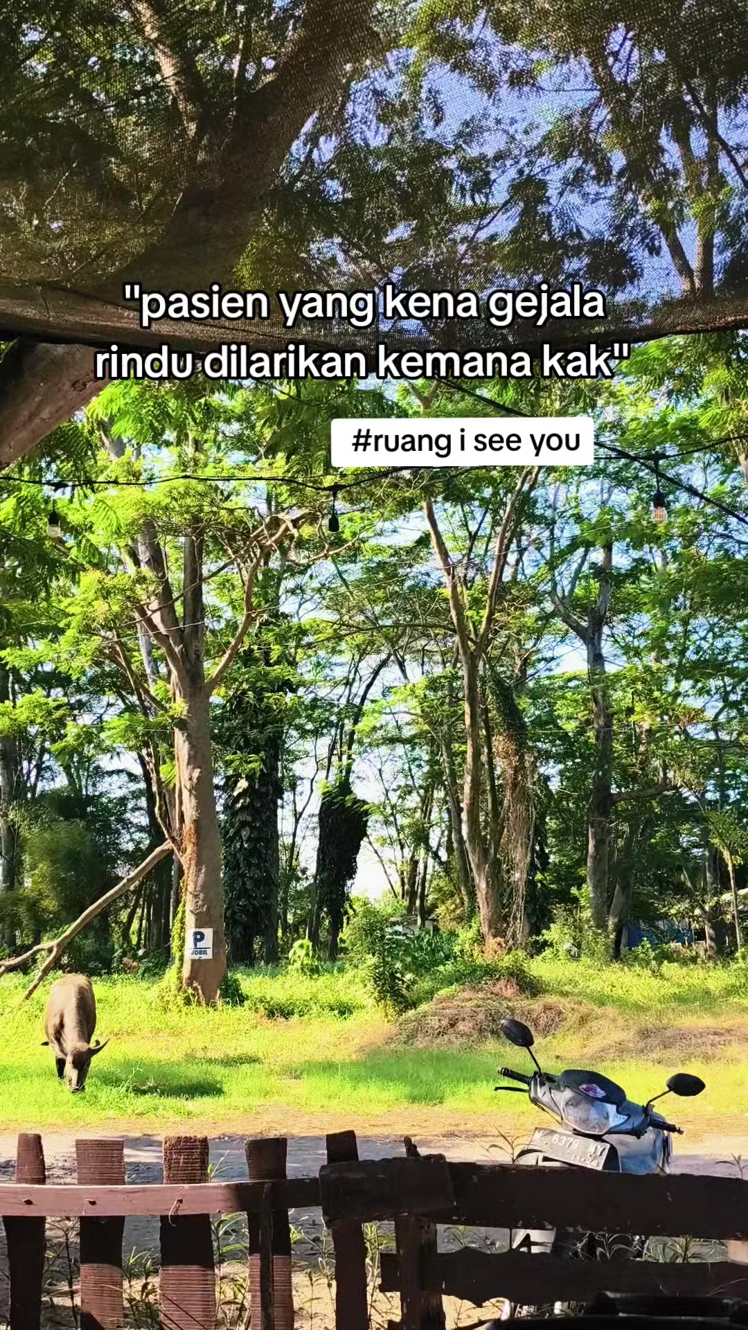 @Sbutsaja_p