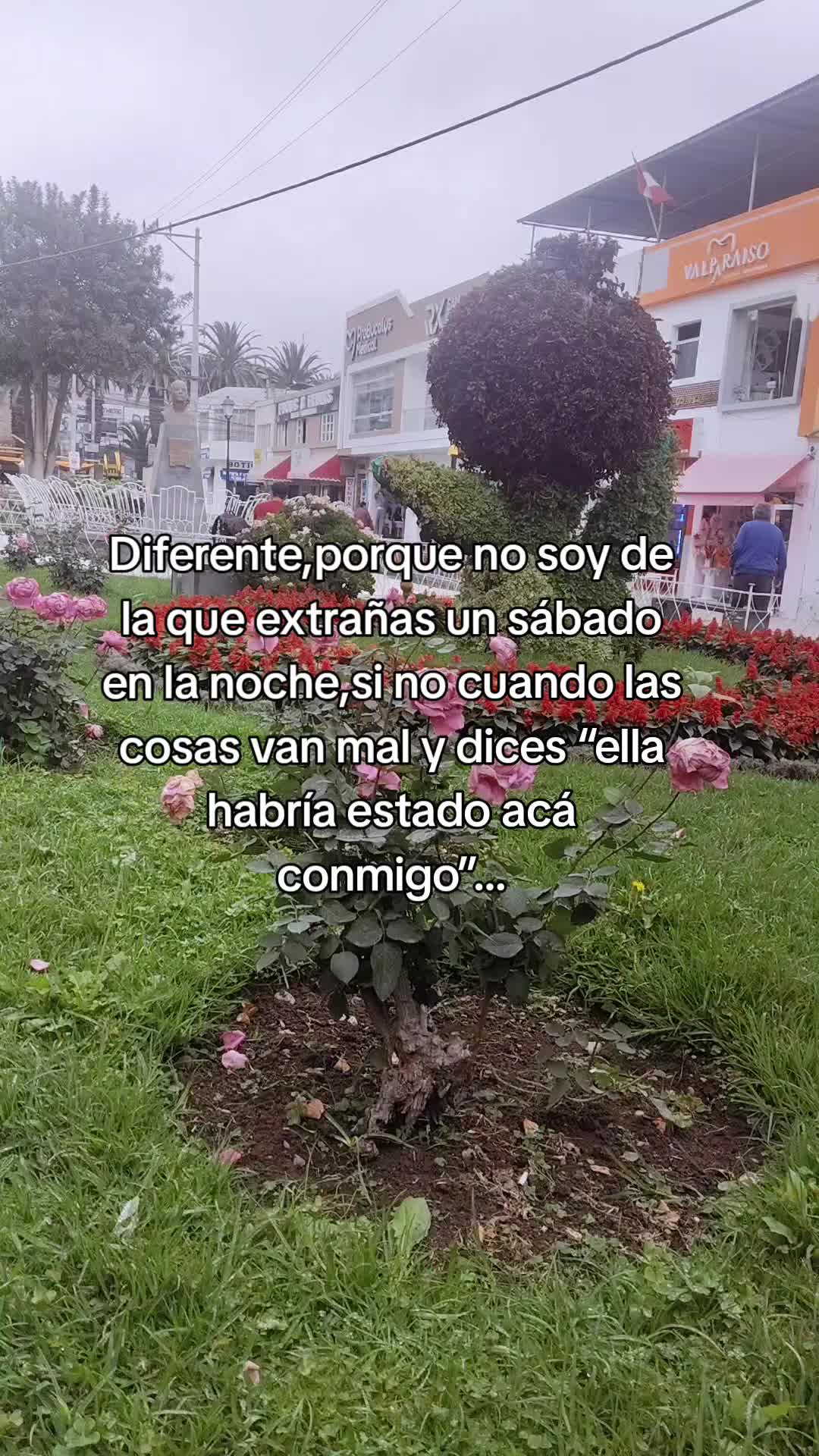 @Piscis ♓💫