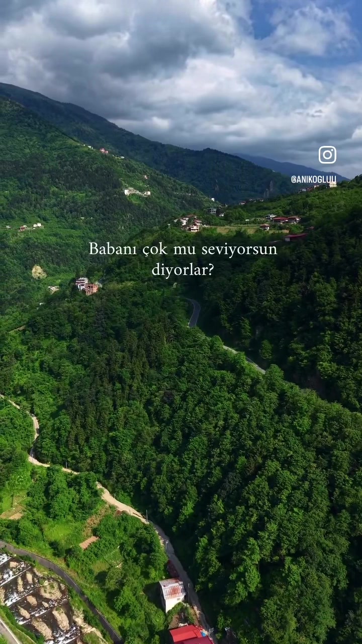 @seherbolkan7