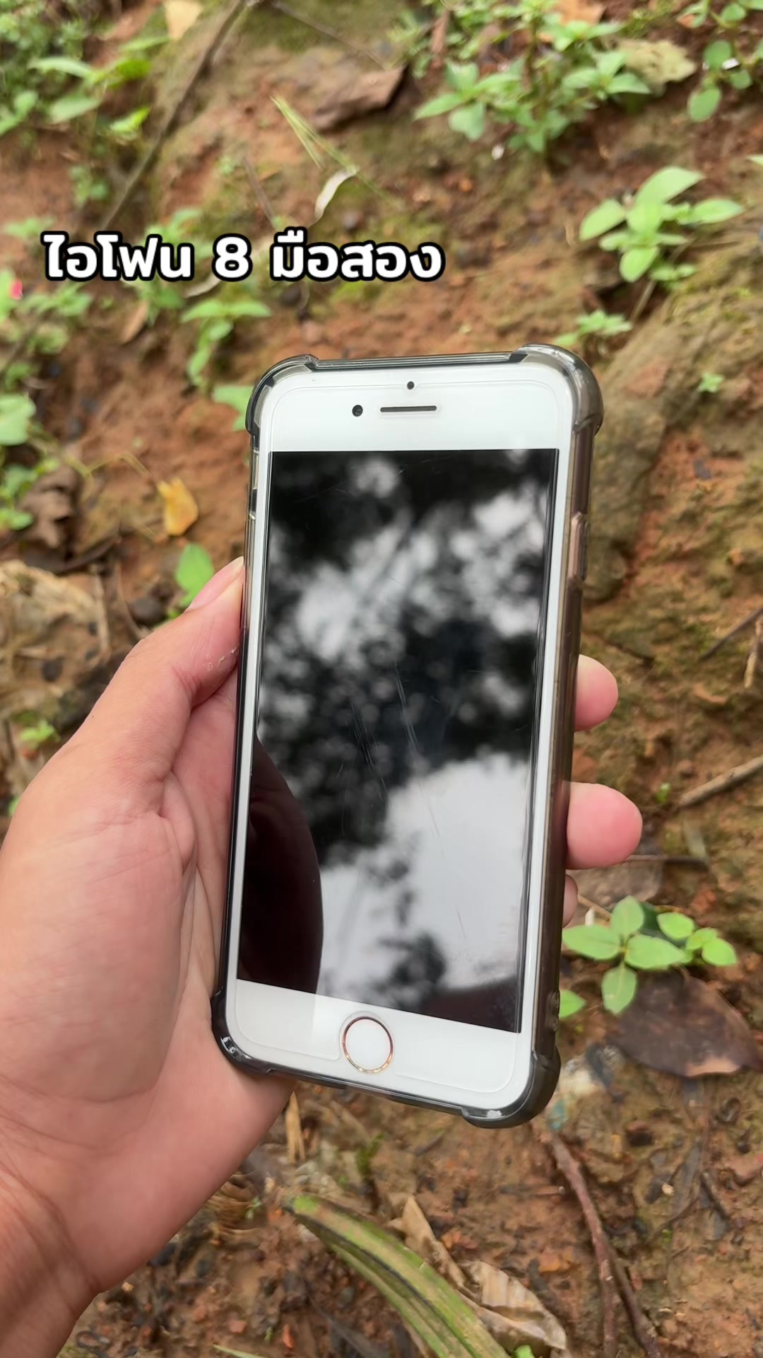 @วิตย์ (6k)