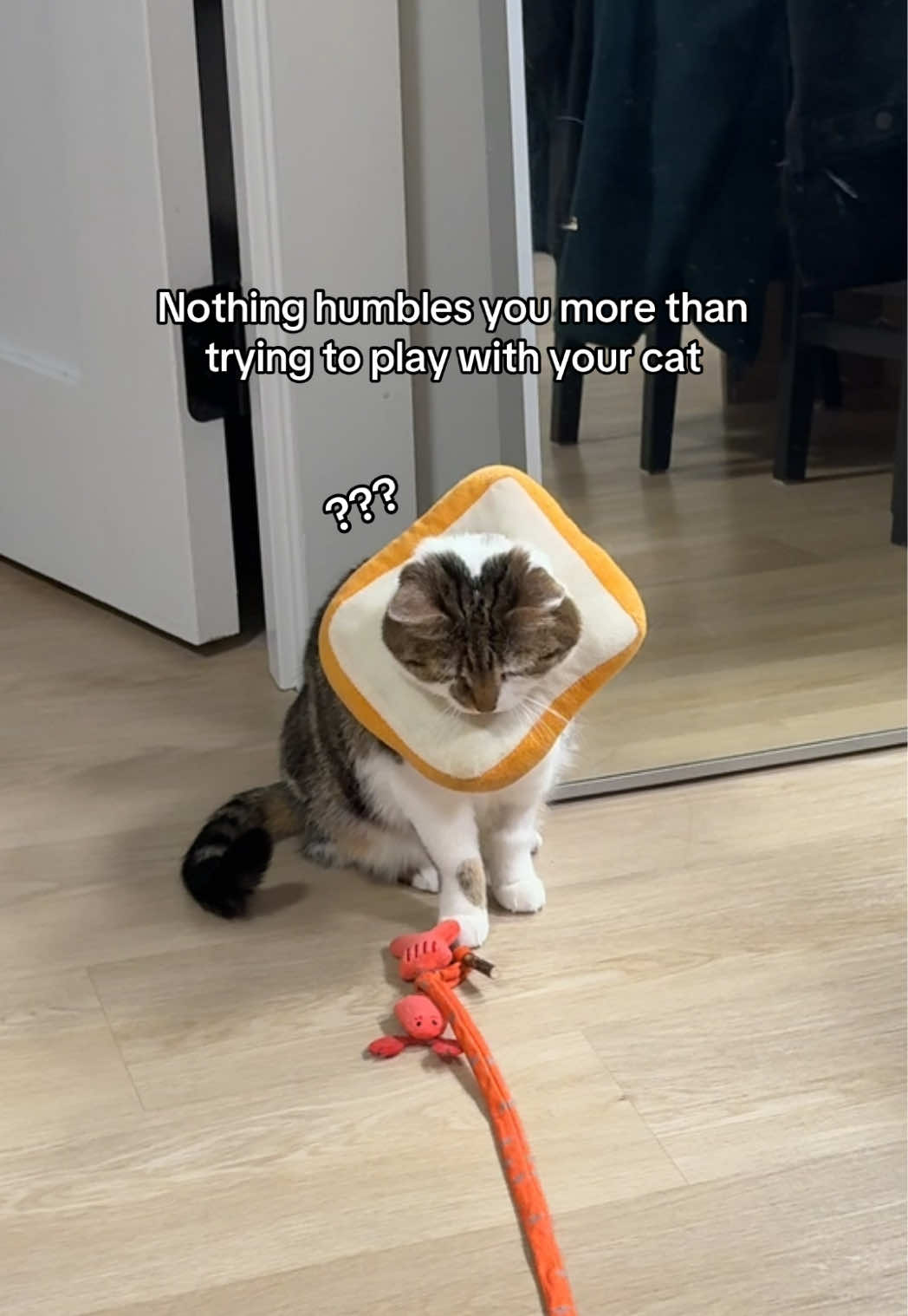 @Suki Purrs