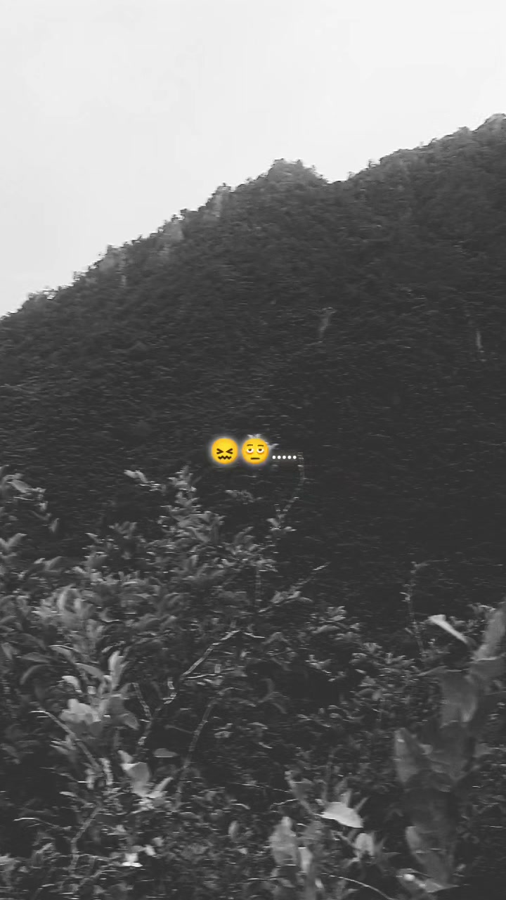 @💓🔥 la flaca 🐨🪷