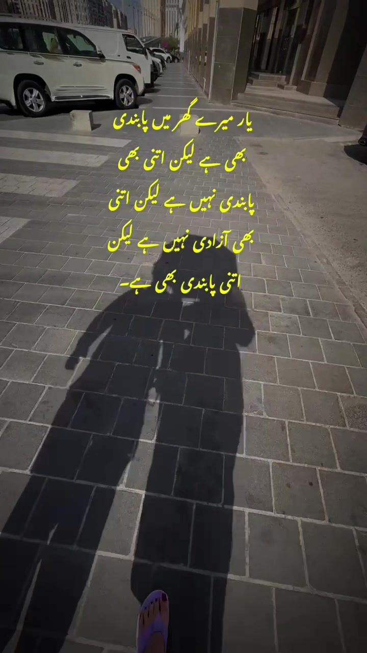 @ZH🎀🖇️