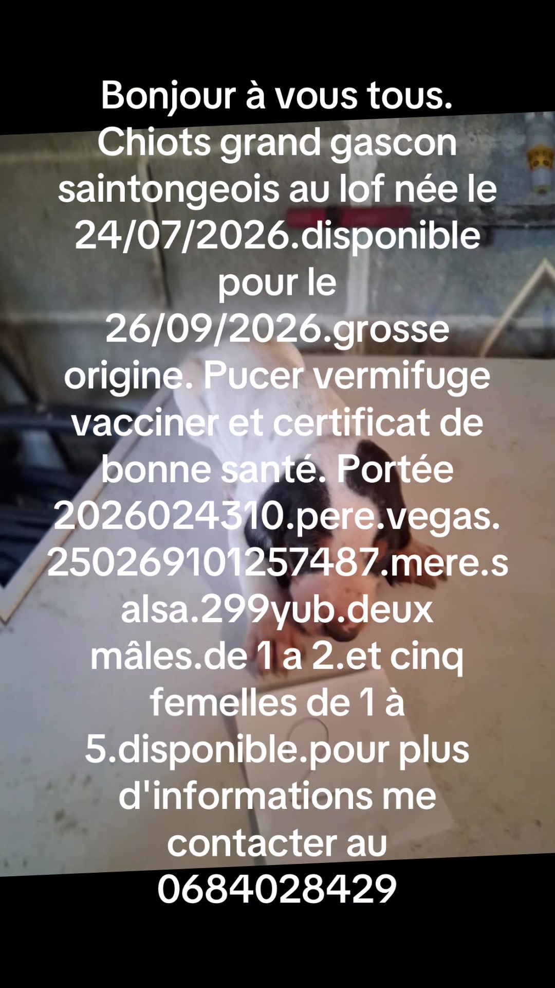 @LaMeutedesdeuxcharentes