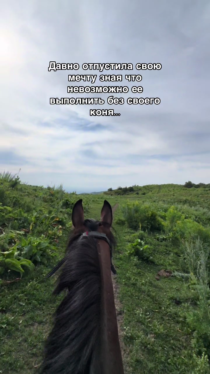 @🐎Ева🐎