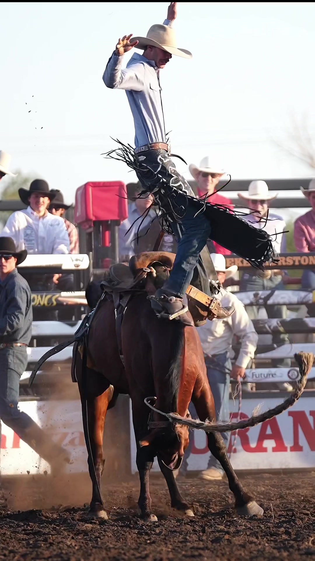 @Hanginghorses