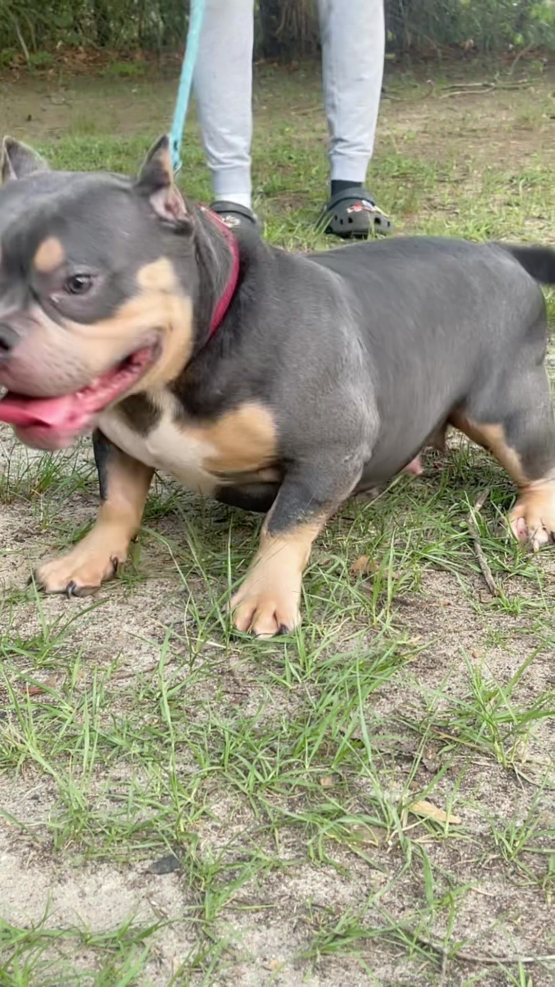 @gardnerkennel08
