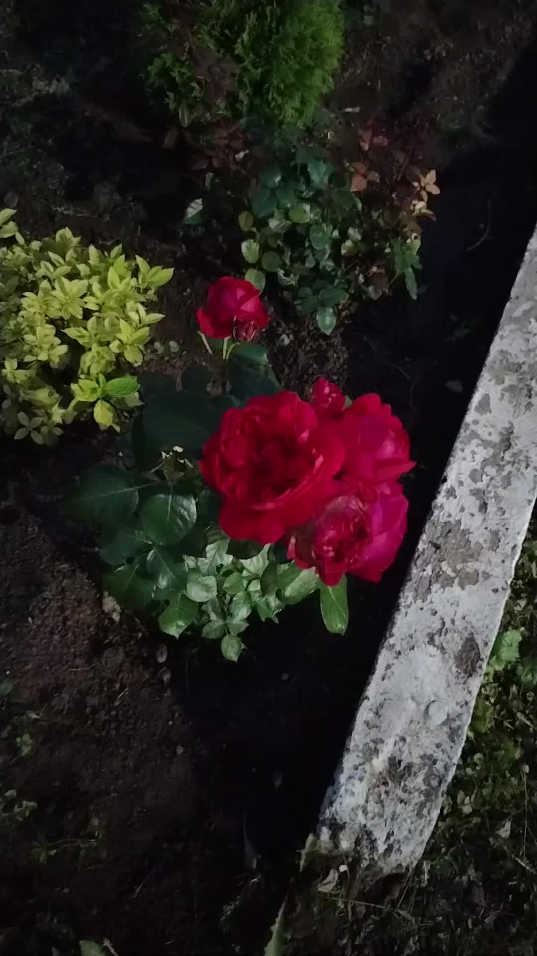 @Рузиль