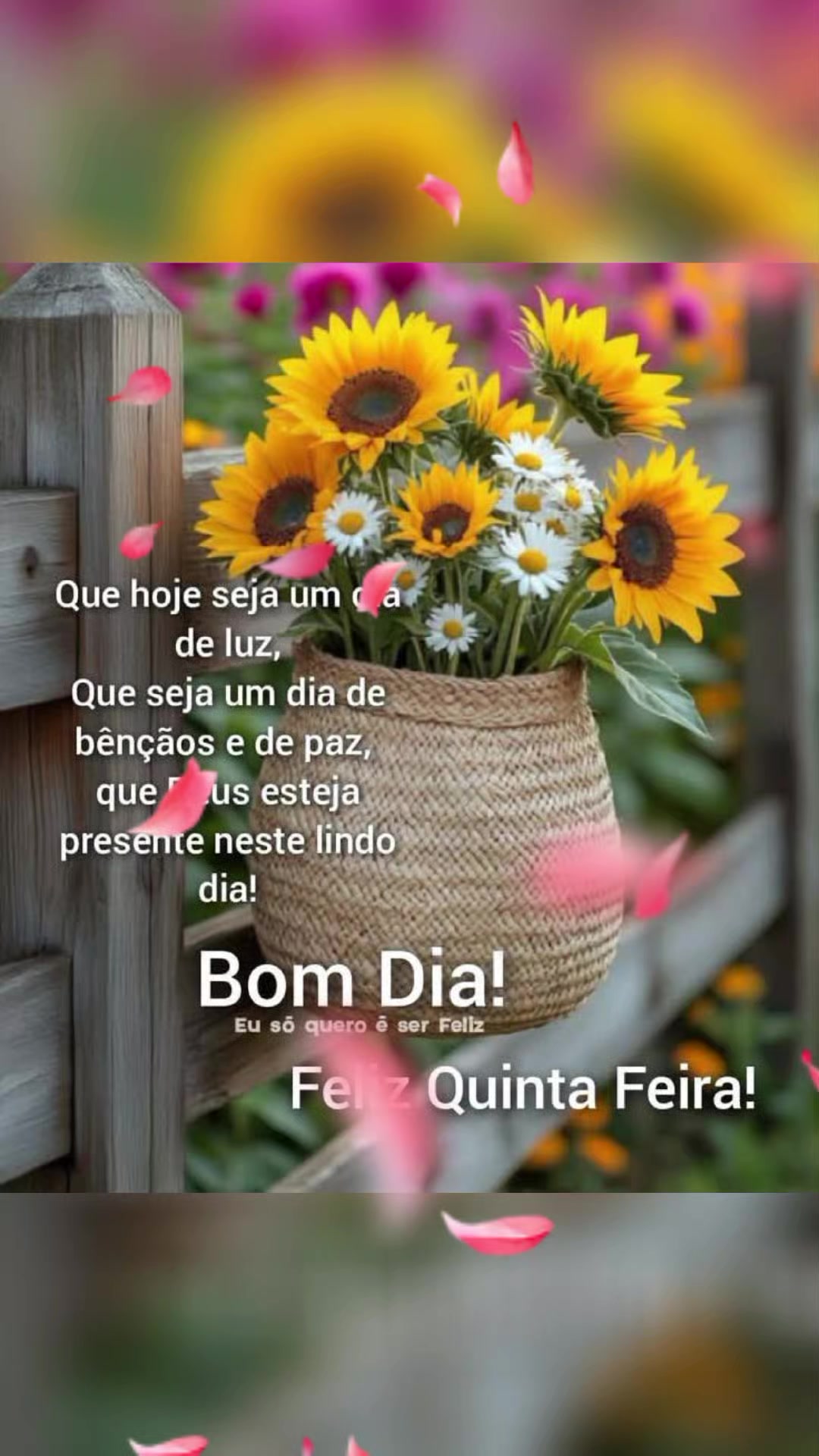 @Valdirene Soares 37