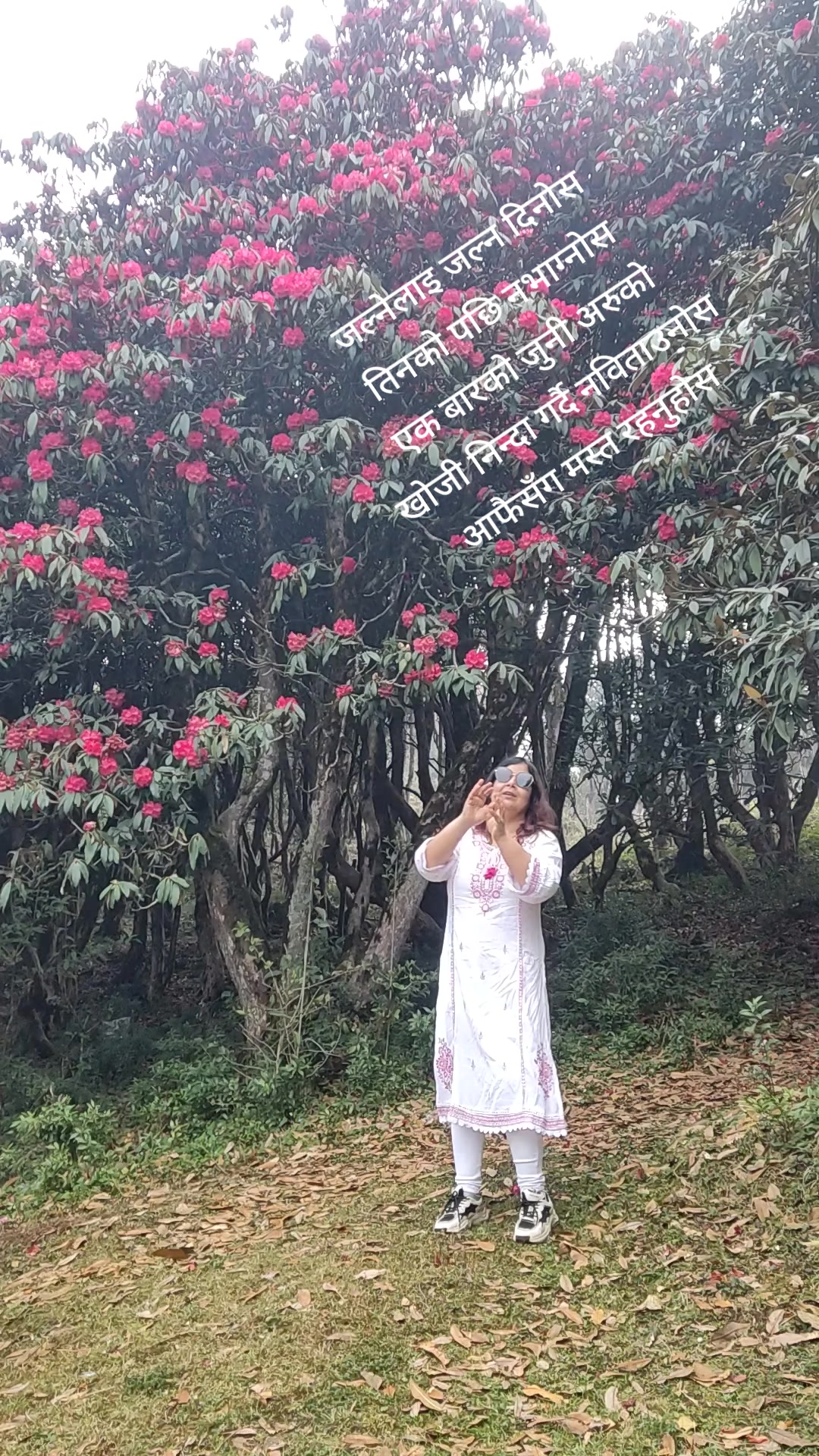 @Nita Pokharel