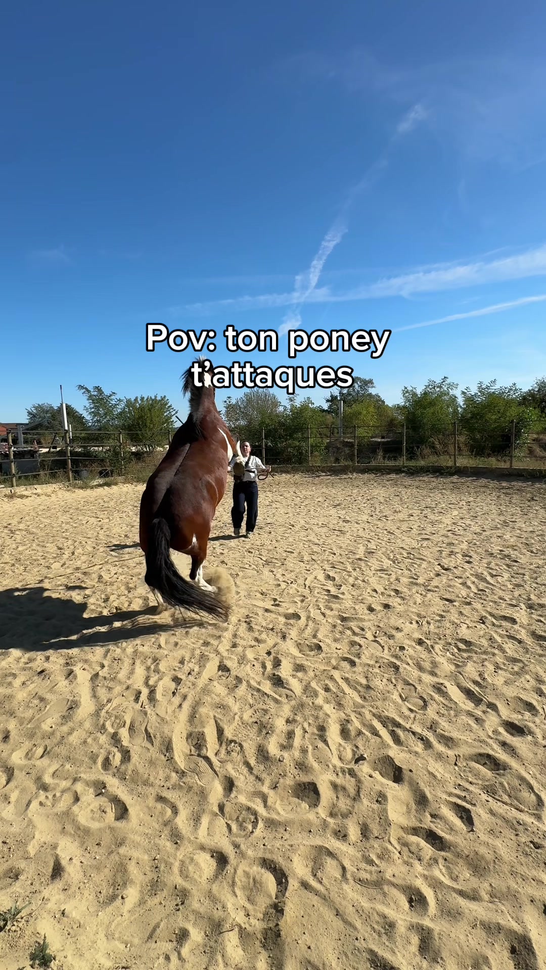 @Seren the pony 🐴