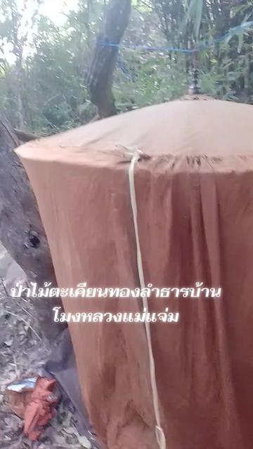 @พระเพิ่มบญบารมี