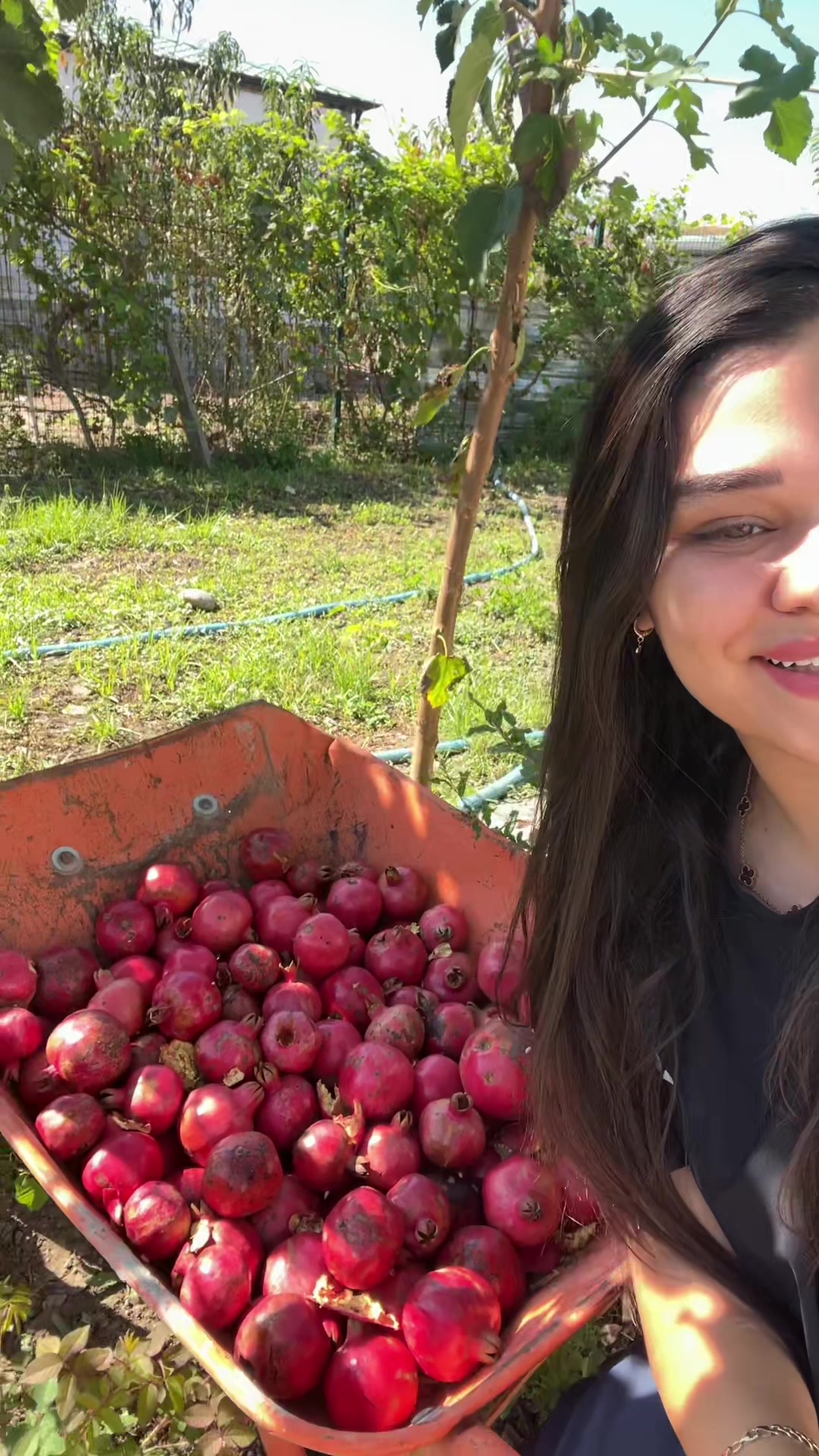 @@cicekgerayli