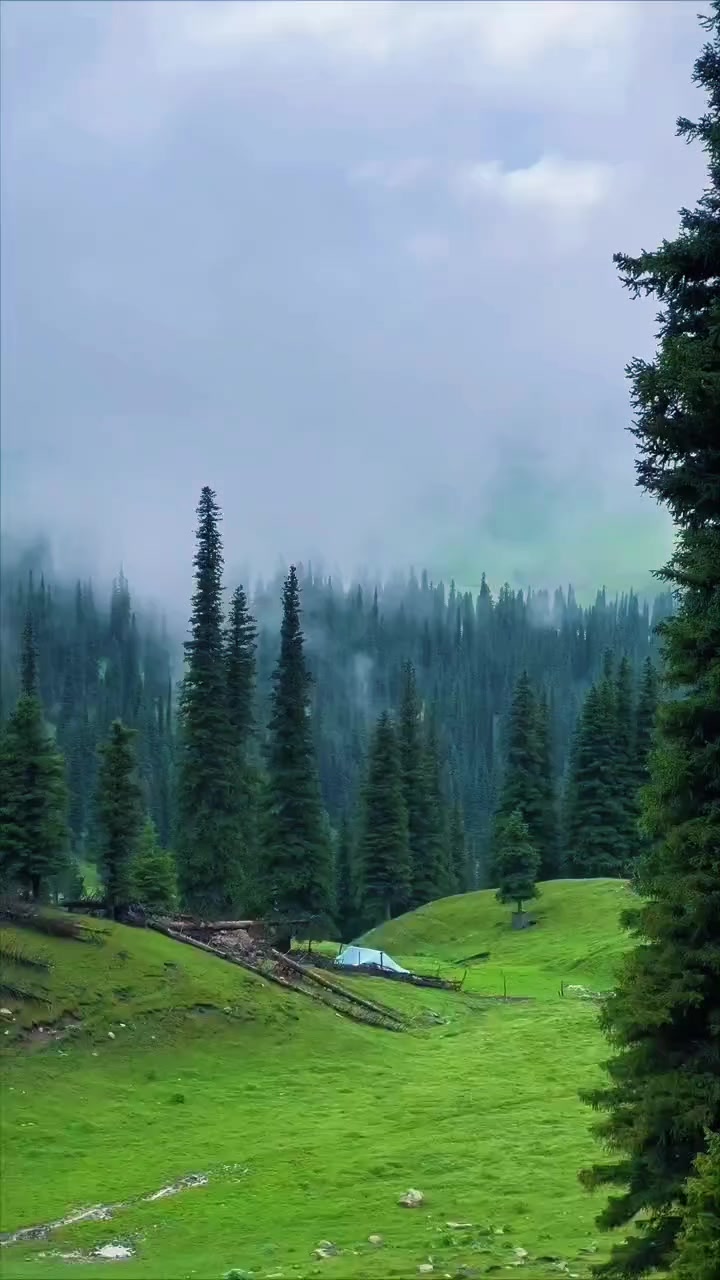 @Raja Touqeer Ahmed