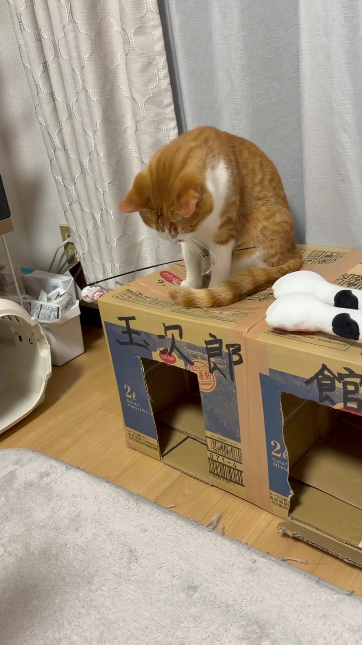 @玉次郎
